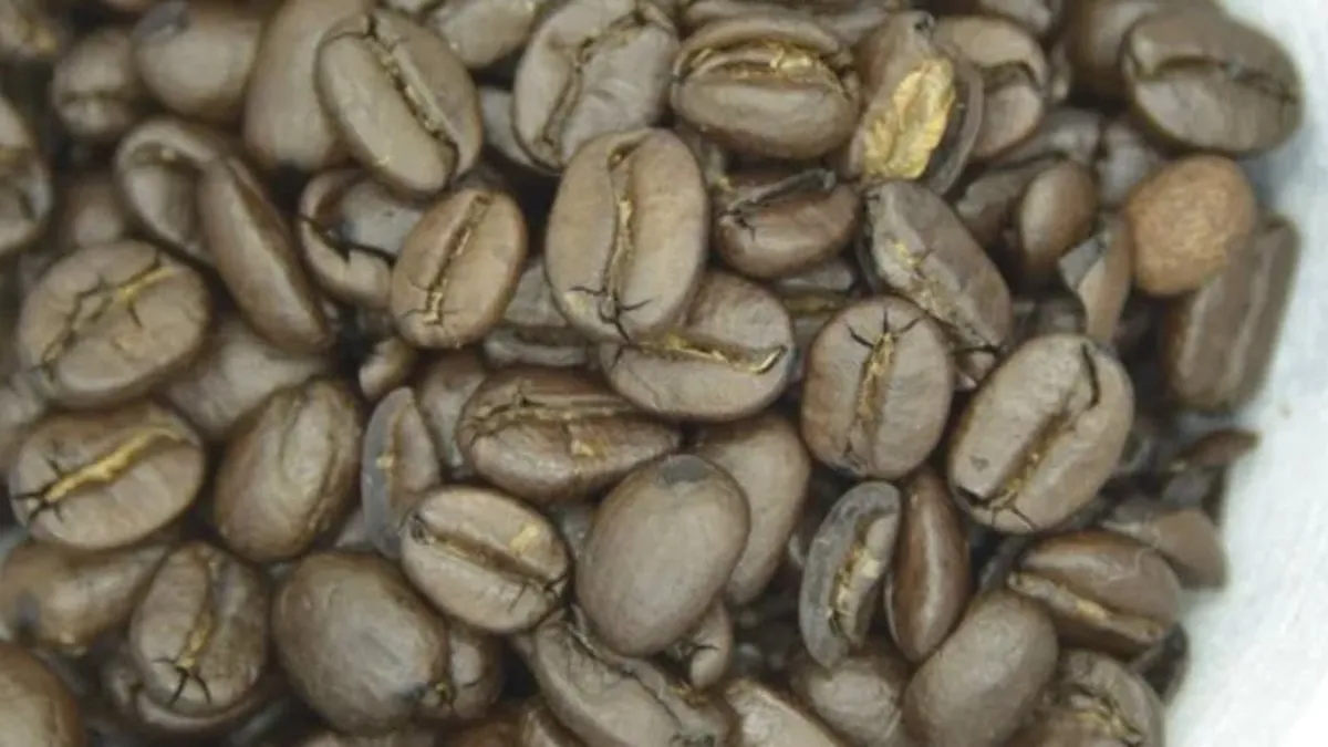 Dibek Kahvesi İçinde Ne Var? Dibek Kahvesi Ham Maddesi Nedir, Farkı Ne?