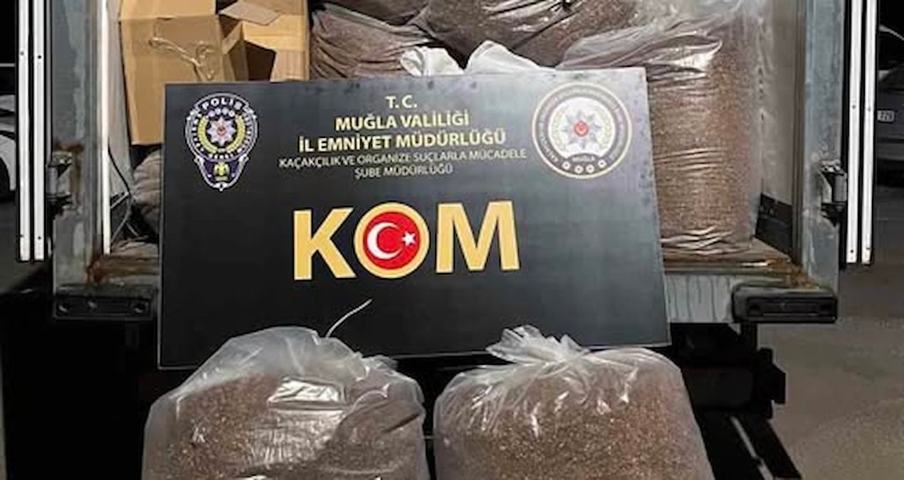 Muğla’da 2 milyon 338 bin adet makaron ele geçirildi