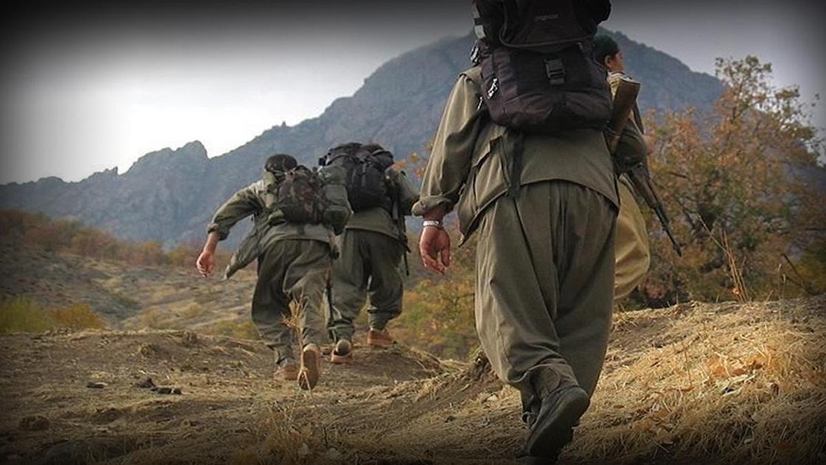 Dünyadan ‘İmralı çağrısı’ yorumu: “Tarihi bir fırsat”