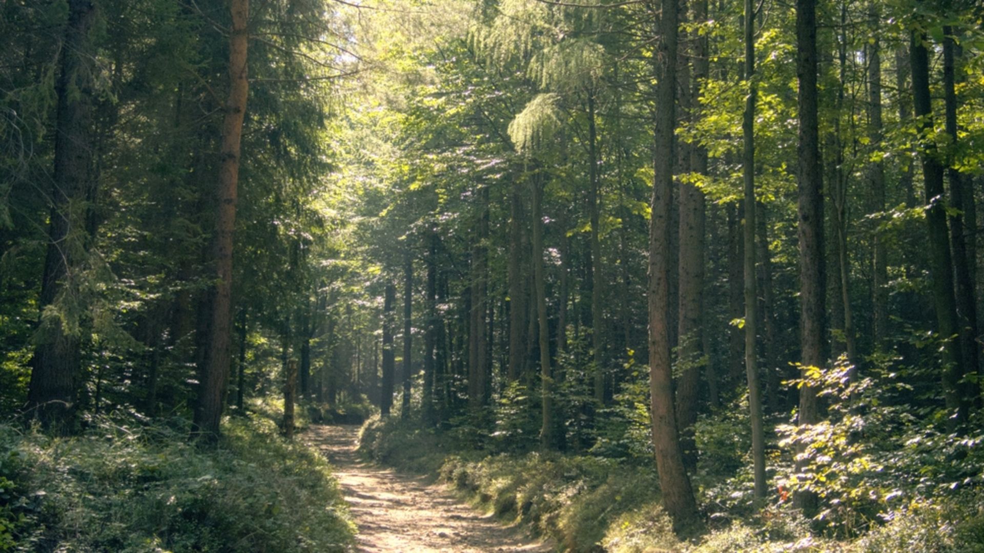 İçsel çatışmaları çözümleyerek huzur bulmanın yolları