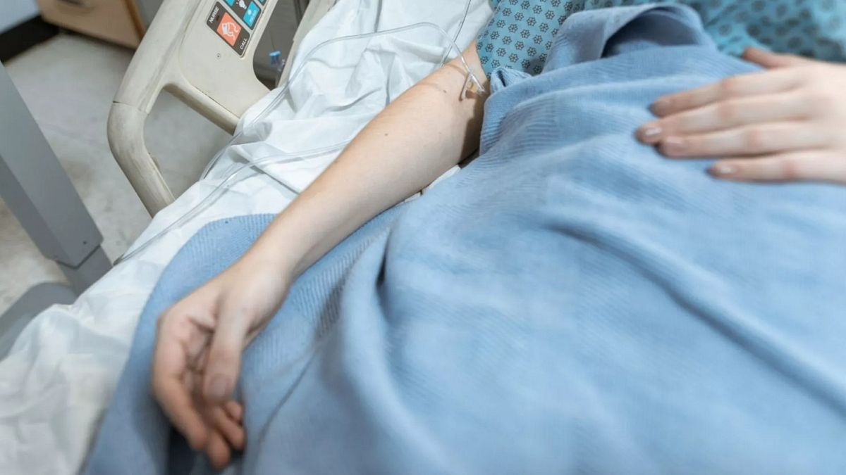 Bilim insanları, organ yetmezliği tedavisinde modifiye edilmiş domuz karaciğeri deneyecek