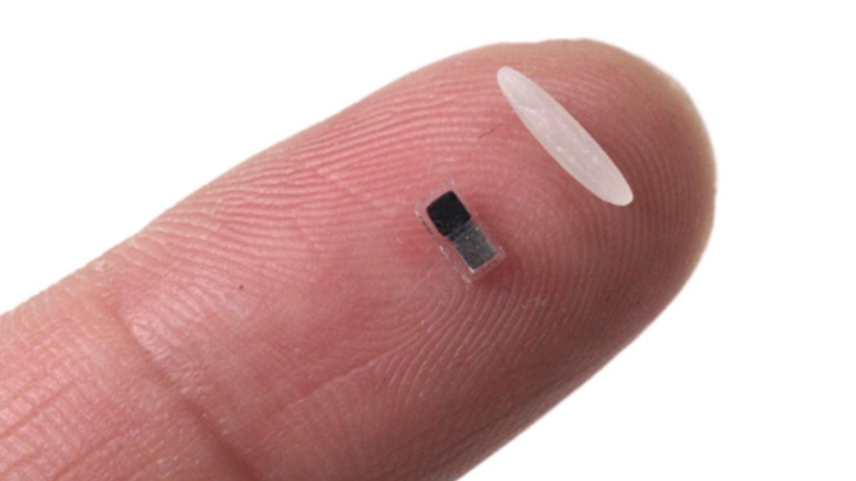 Dünyanın en küçük kalp pili geliştirildi